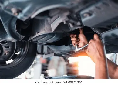 Continuous Evolution illustration